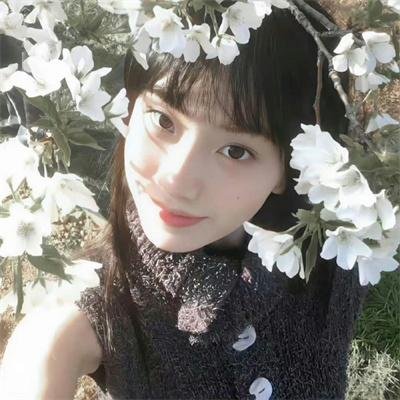 苍穹浩瀚第五季